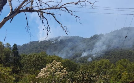 Se cumplen dos semanas del incendio en bosques de zona triqui en Oaxaca; siguen activos 7 siniestros en la entidad