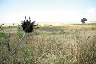 Alistan plan para desalojar desechos por obra de NAICM