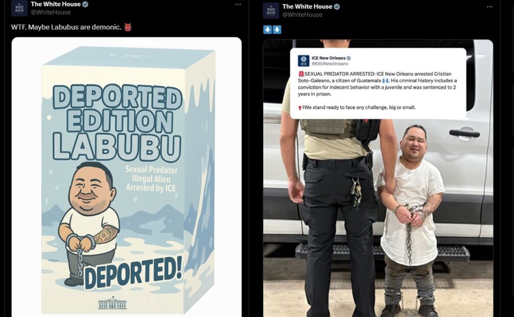 Casa Blanca a través de su cuenta oficial de X. Foto: captura de pantalla