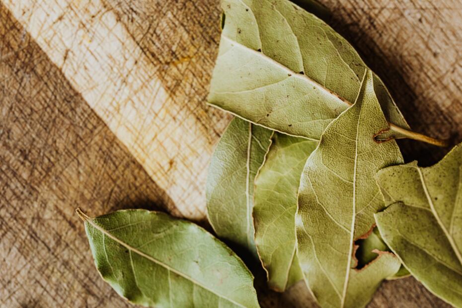 Hojas de laurel