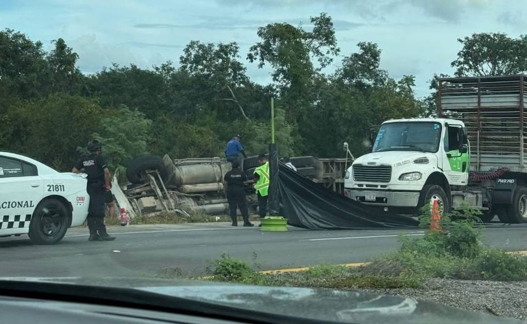 Vuelca camión con cerdos en Mérida–Izamal; hay rapiña y movilización policiaca
Foto: Especial.