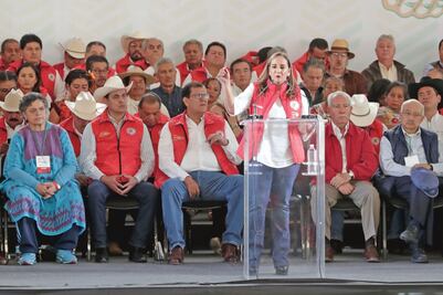 Reconoce Ruiz Massieu colapso del PRI en julio