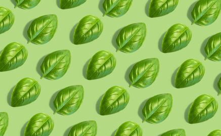 Estos son los alimentos que debes evitar para cuidar tu páncreas