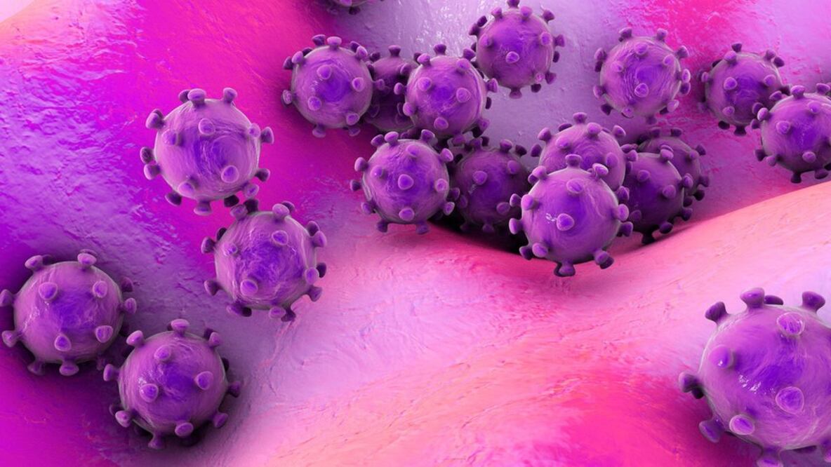 Antes de este último descubrimiento en China, se conocía de seis coronavirus que podían infectar al ser humano. Foto: Getty Images 