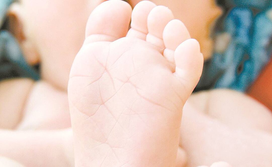 Foto: Archivo EL UNIVERSAL