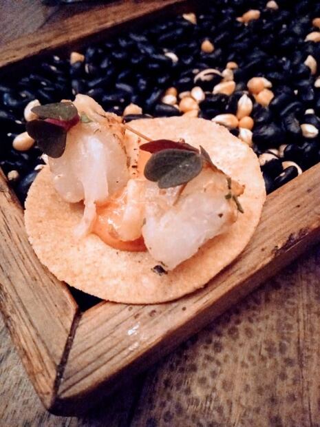 Van Gogh inspira encuentro artístico y gastronómico en San Miguel de Allende
