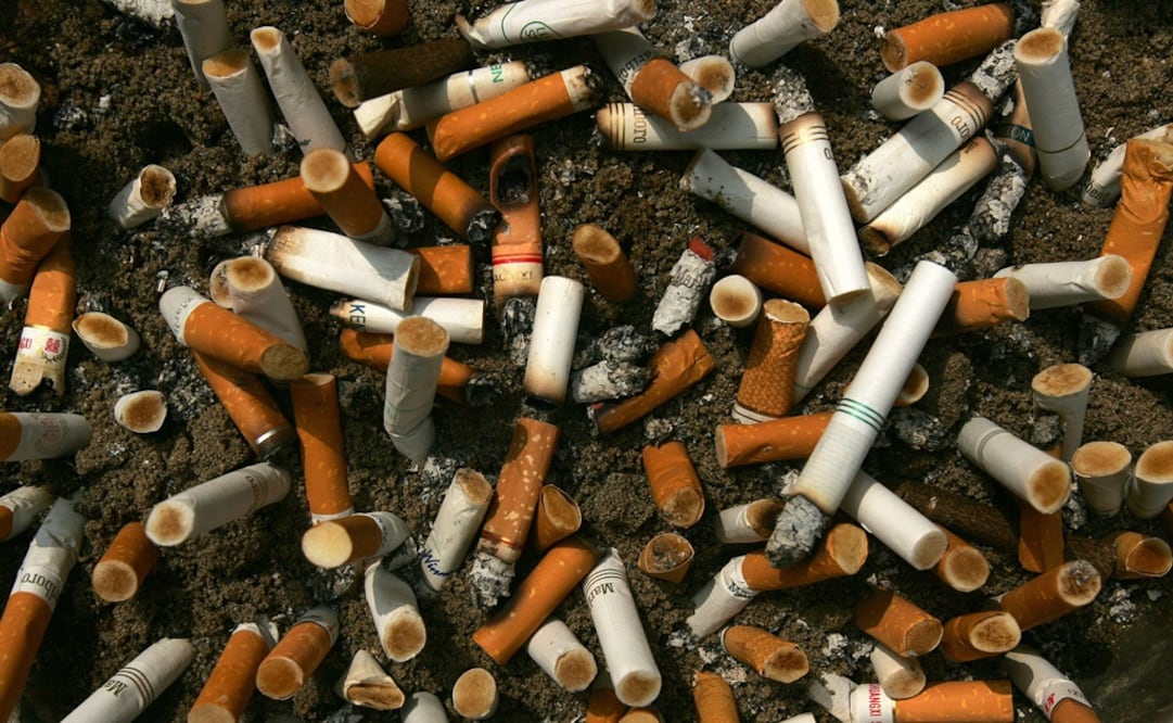 UVM students develop the "Smoke Life" project 