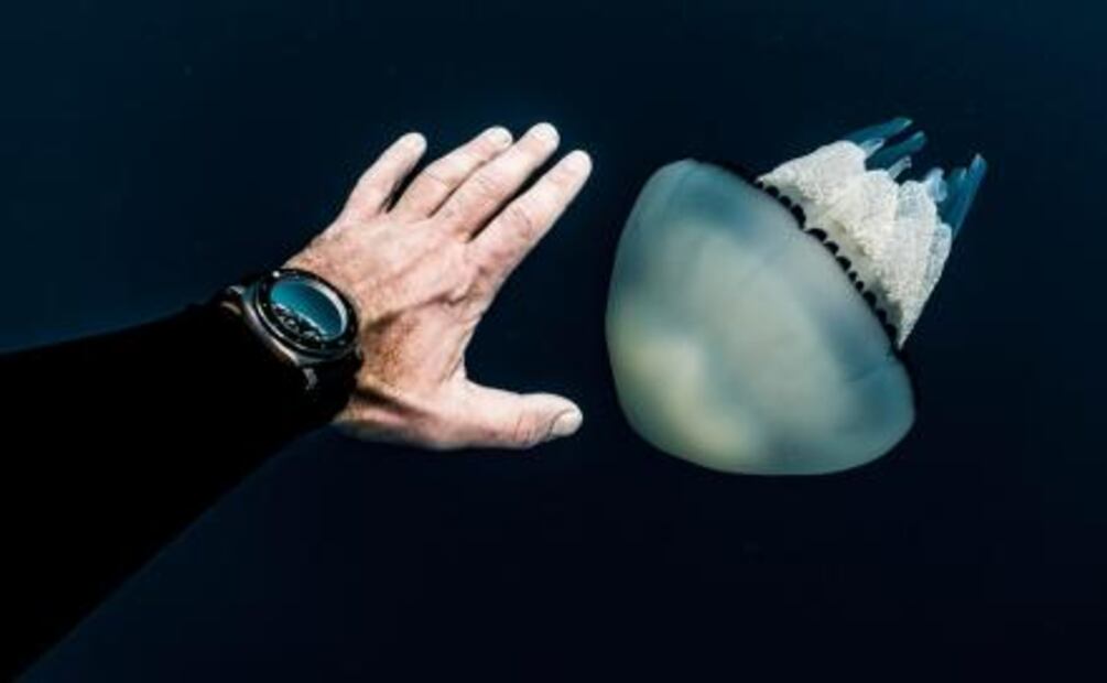 Guillaume Néry, el tritón de Panerai