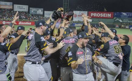 Suspenso en la final del beisbol de Venezuela por crisis política