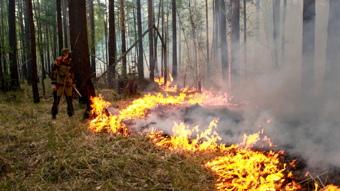 Las autoridades dicen que los incendios forestales son extremadamente difíciles de apagar. Foto: Getty Images 