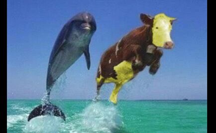 Memes sacan el lado amarillo a Sergio Mayer y a su "vaquita"