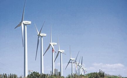 Reforma Judicial retrasará generación de energía eólica en México, advierten expertos