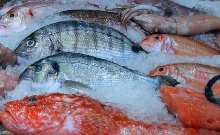 ¡Ponte trucha! Del pescado barato importado solo 40% es proteína, el resto es hielo, alertan