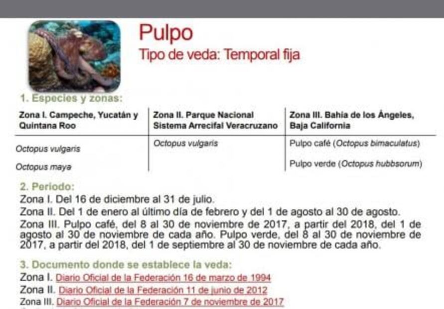 Conoce la veda de  mariscos en México