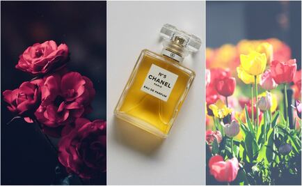 Chanel tendrá un jardín en París  