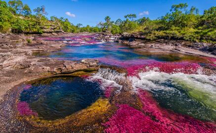 Caño Cristales, el río de colores que perteneció a las FARC