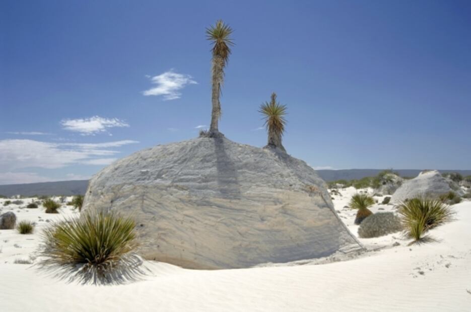 Así son las Dunas de Yeso de Cuatro Ciénegas