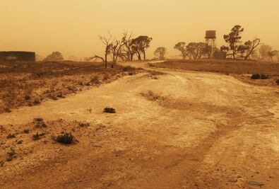 Grupo de moda dona 1 millón de dólares a incendios en Australia