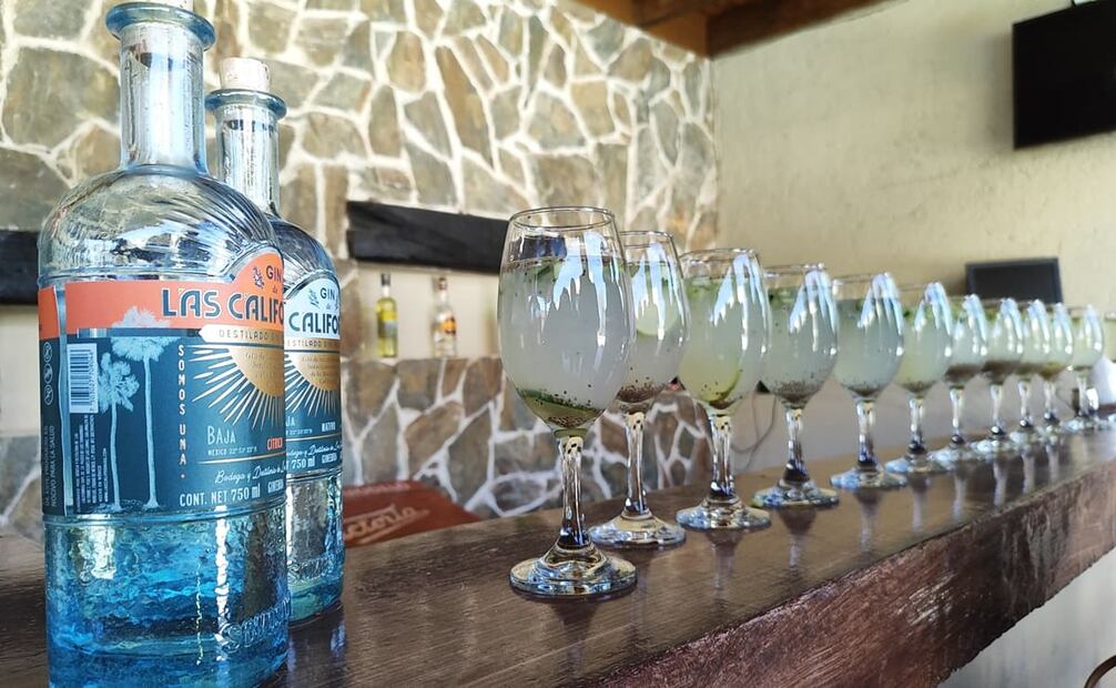 El gin es tan versátil que puedes preparar tragos originales con ingredientes fáciles de conseguir. Foto: Raúl J. Fontecilla/EL UNIVERSAL.