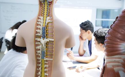 Entérate por qué carreras de Ciencias de la Salud tienen mayor oferta laboral 