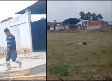 Otro caso de maltrato animal en Puebla; hombre lanza con una pala a unos cachorros