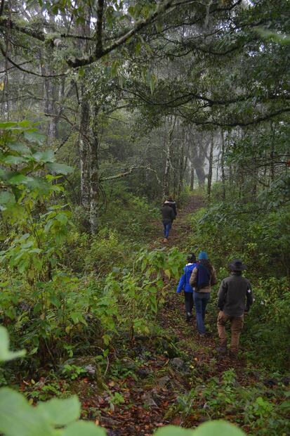 Foto: Rancho Suelo Vivo