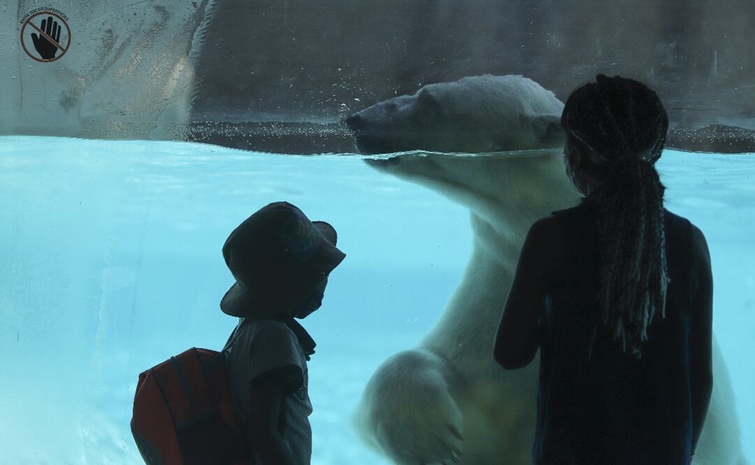 El aumento de las emisiones de gases y compuestos de efecto invernadero serán de un 14% en la década actual. Foto: El Universal, archivo 