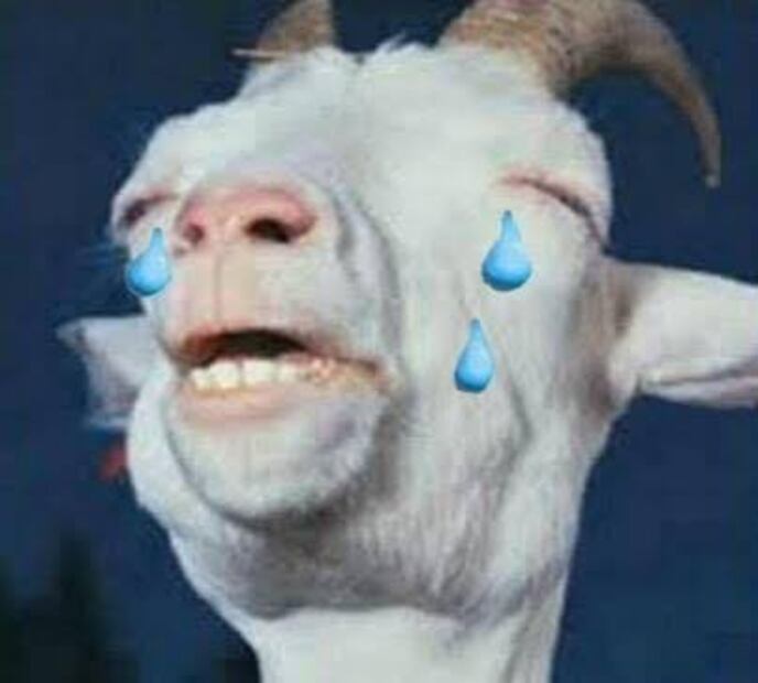 Quedó definida la final de la Liga MX Femenil y los memes ya hicieron lo suyo