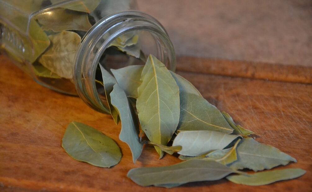 El laurel en la gastronomía. Fuente: Pixabay