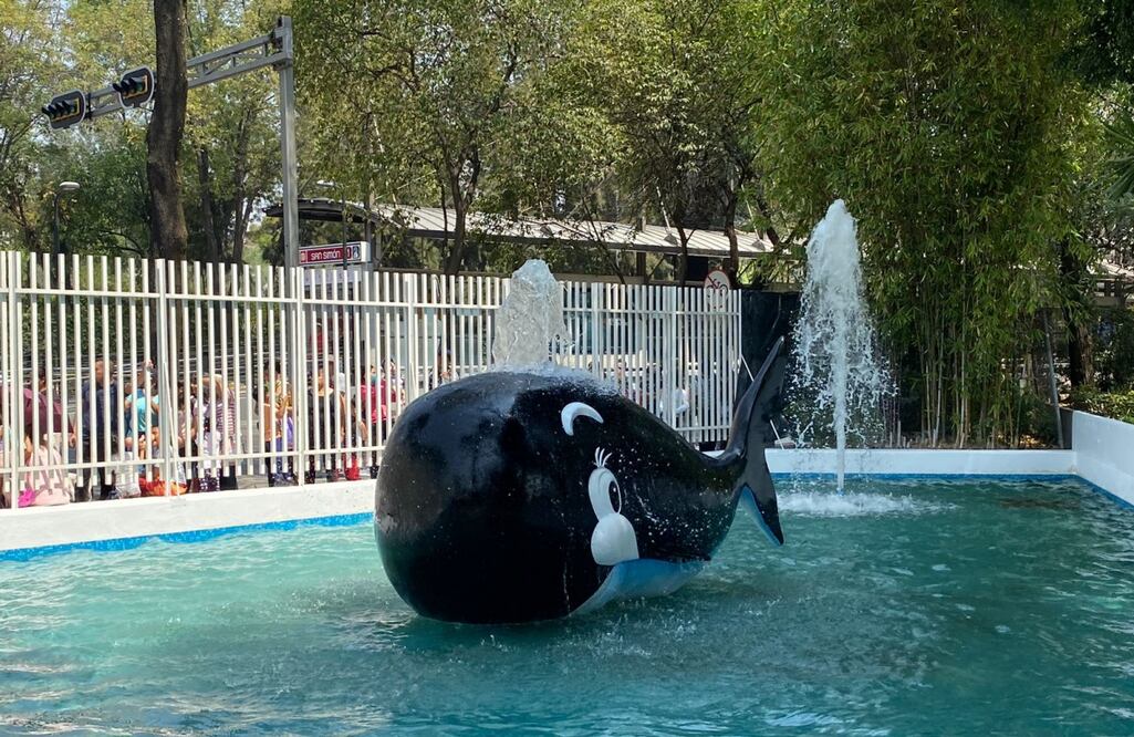 FOTO: Omar Díaz/ EL UNIVERSAL/