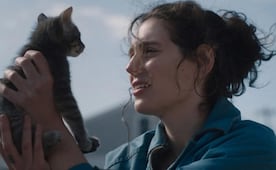 ¿Qué ver?: “Lo siento, cariño”, una historia de amistad contra la adversidad