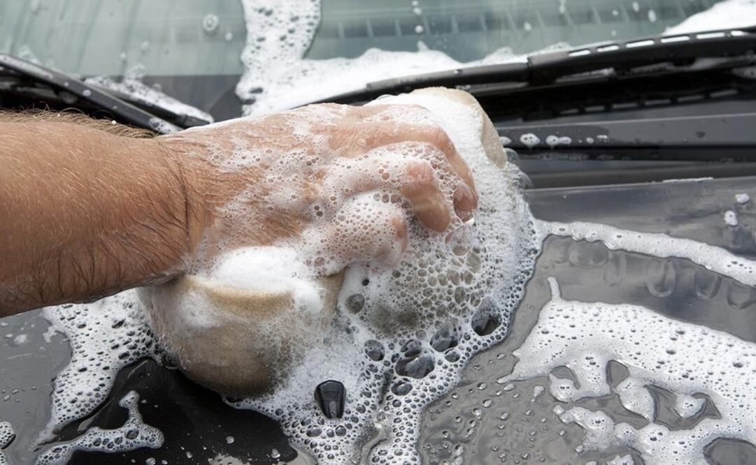 Foto: Ilustrativa. Pixabay