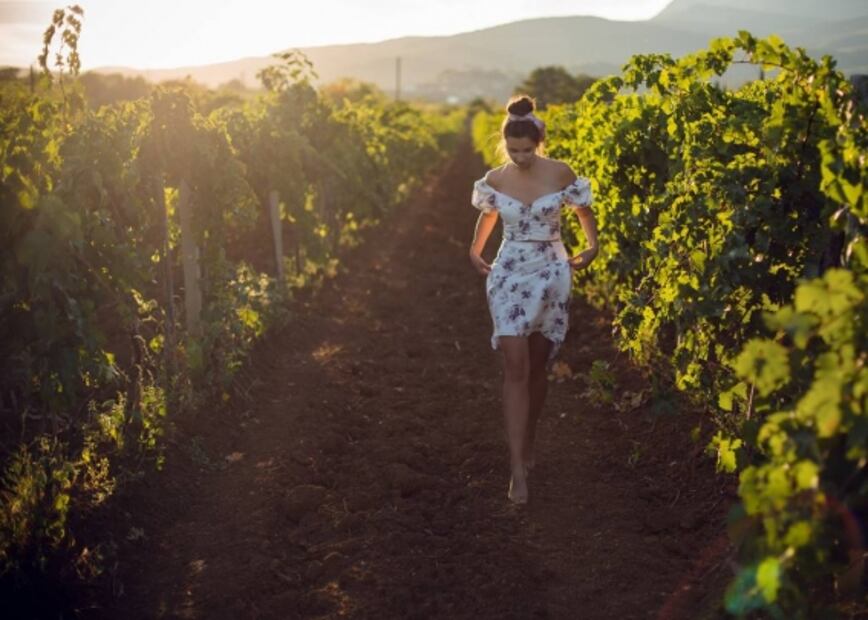 De Tijuana a Valle de Guadalupe: comer, beber y pasear