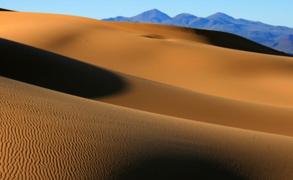 15 poderosas razones para viajar a Sonora