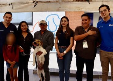 Adoptan a la perrita “Libertad”, sobreviviente de tortura en Guanajuato