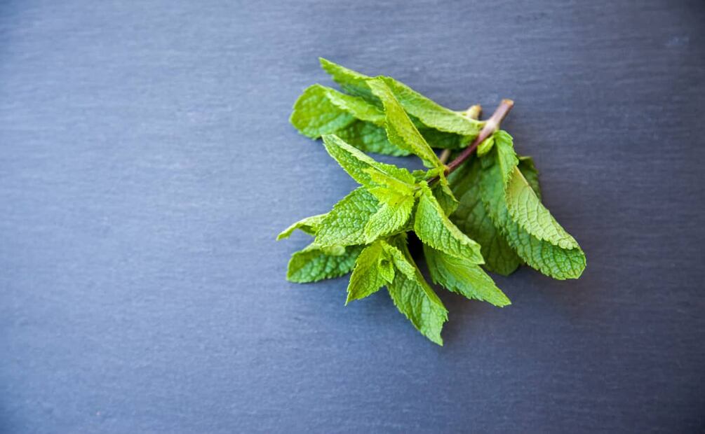 La hierbabuena es un tipo de menta. Foto: Unsplash.