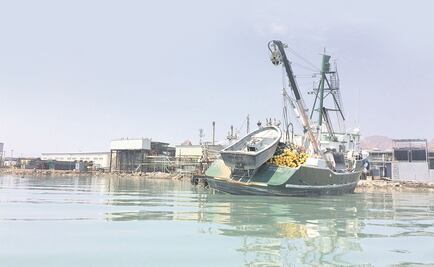 Darán apoyo a pescadores pobres en México 