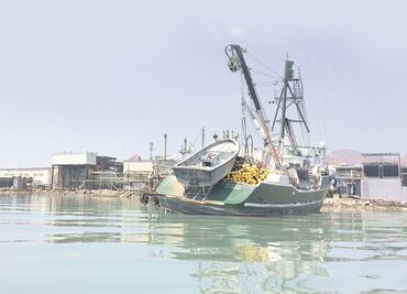 Darán apoyo a pescadores pobres en México