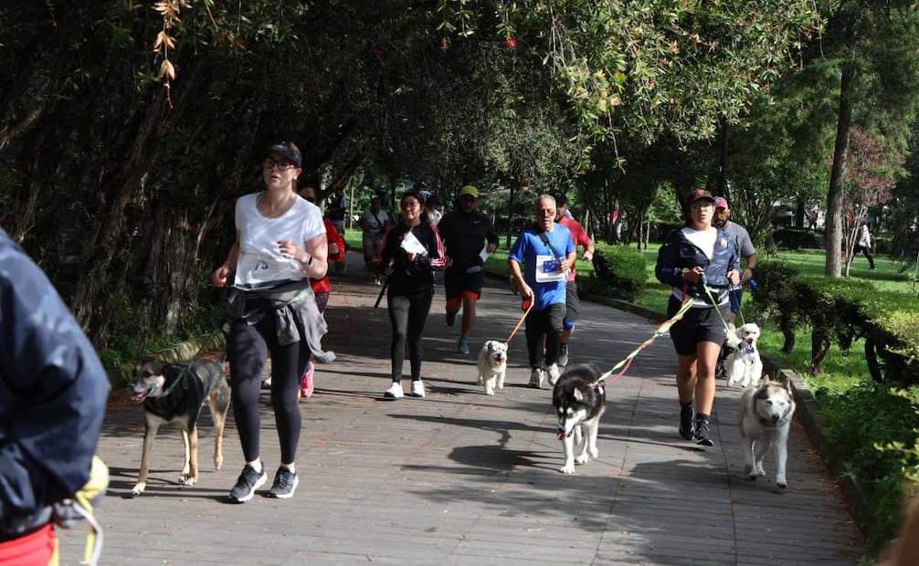 Realizan la carrera "Amas es adoptar" en Coyoacán (24/08/2025). Foto: Especial