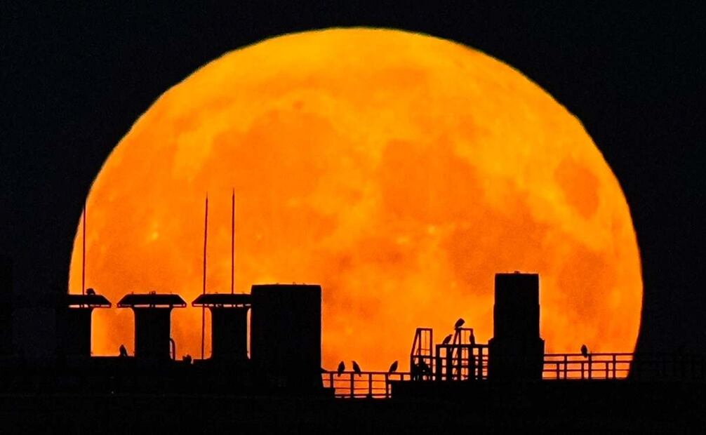 Una superluna se eleva sobre un edificio residencial en Moscú, Rusia, el lunes 19 de agosto de 2024. Foto: AP