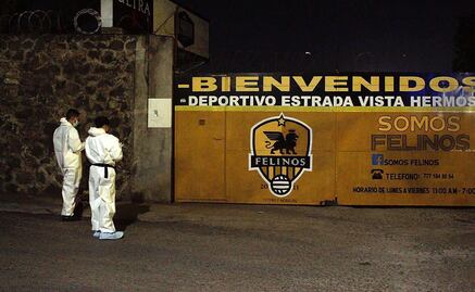 Investigan como feminicidio el asesinato de la actriz Tania Mendoza