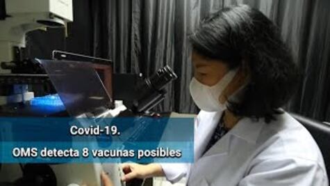 OMS detecta ocho posibles vacunas contra Covid-19