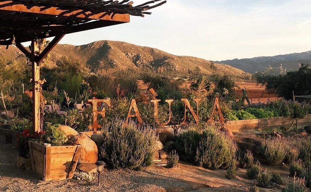 Los mejores restaurantes de México. Fauna, en Valle de Guadalupe, Baja California.
Foto: @faunarestaurante / Instagram