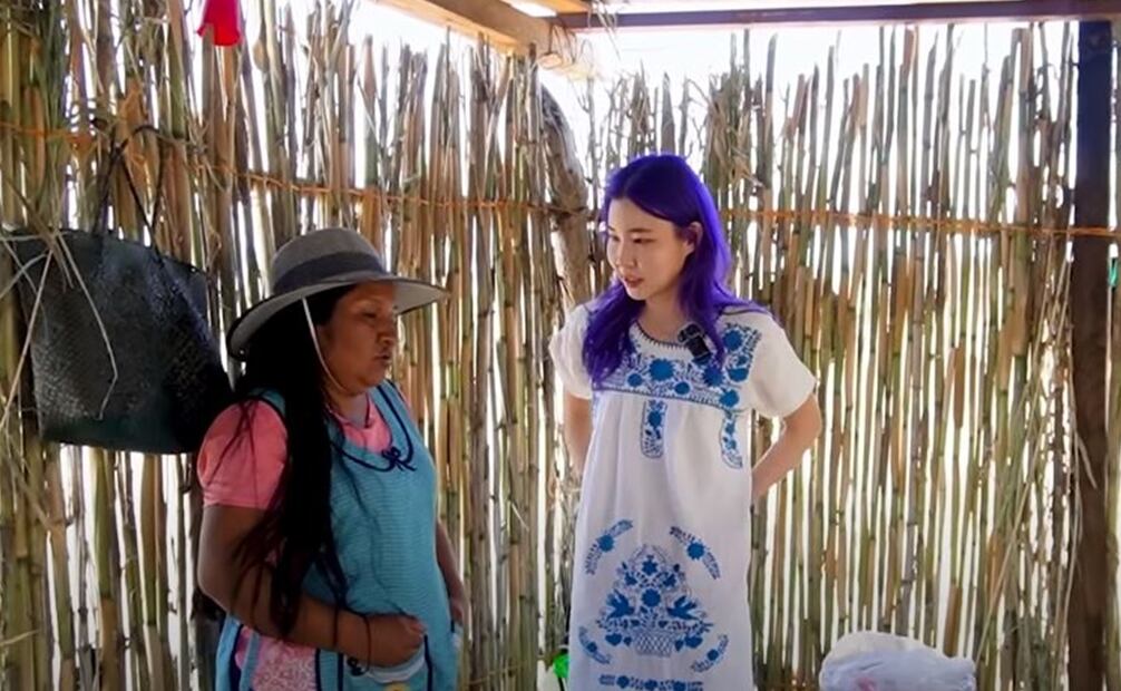 Critican a Chingu Amiga por ayudar a migrante deportados. Foto: Cptura de video