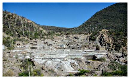 México también produce sal orgánica