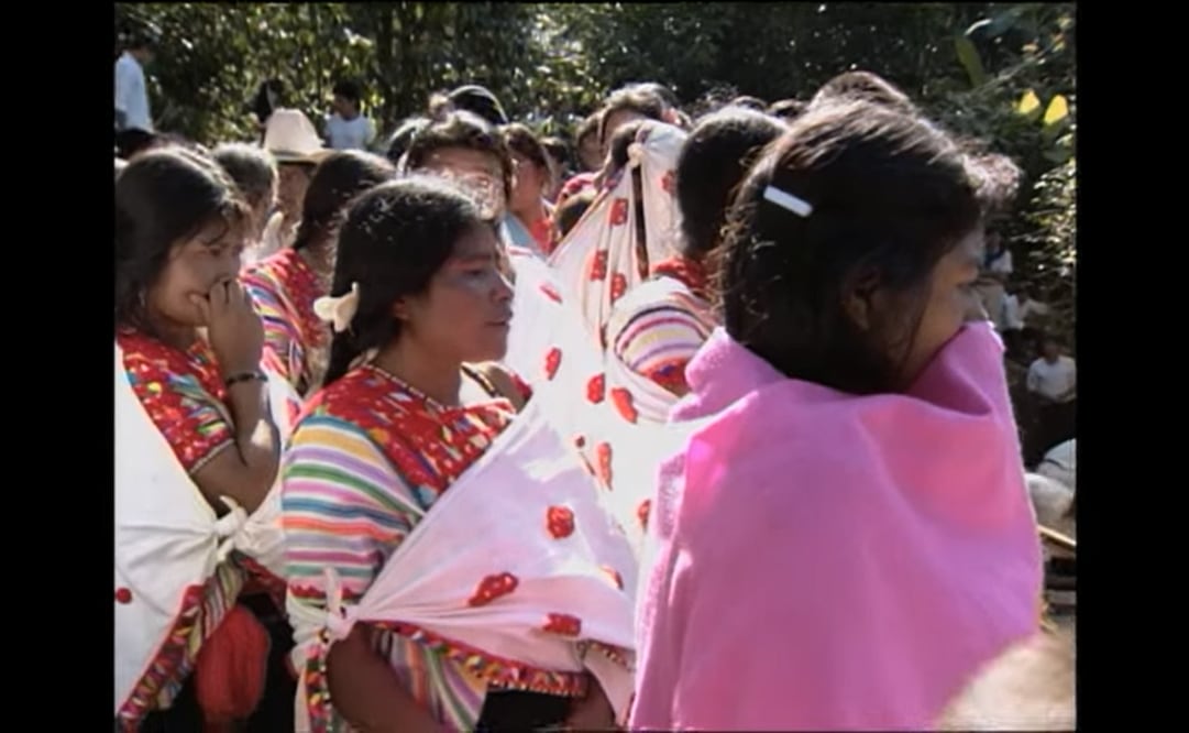 Foto: Captura Documental ACTEAL 