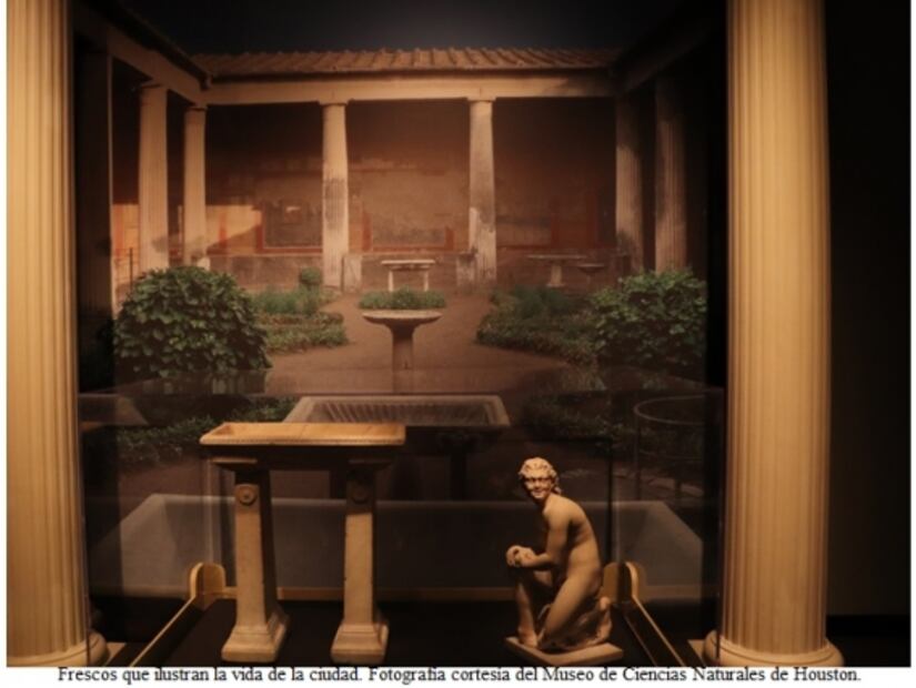 Pompeya: La exhibición