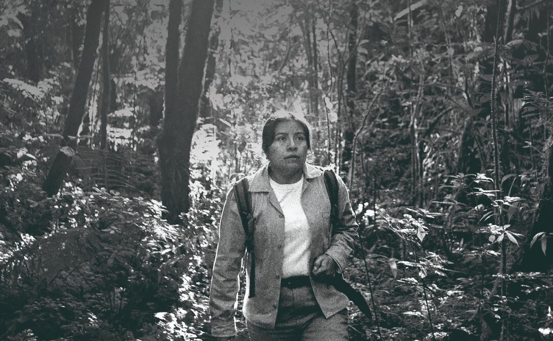 En 2026, el filme se proyectará gratis en reservas naturales. FOTOS: Pikila Cine