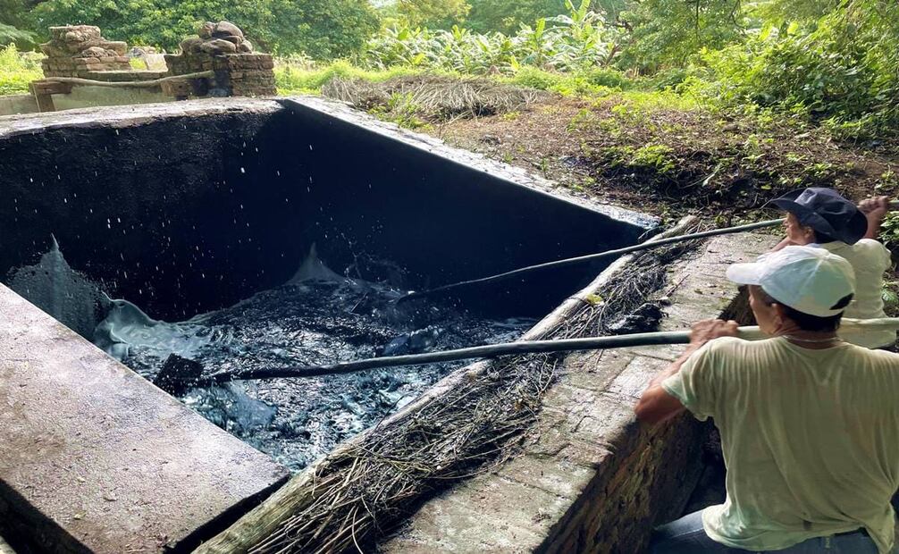 Producir añil de forma tradicional implica un proceso de varios meses. Tan sólo la etapa de preparar la mezcla de agua y jiquilite requiere horas de trabajo físico constante. Foto: Paulino Toledo.