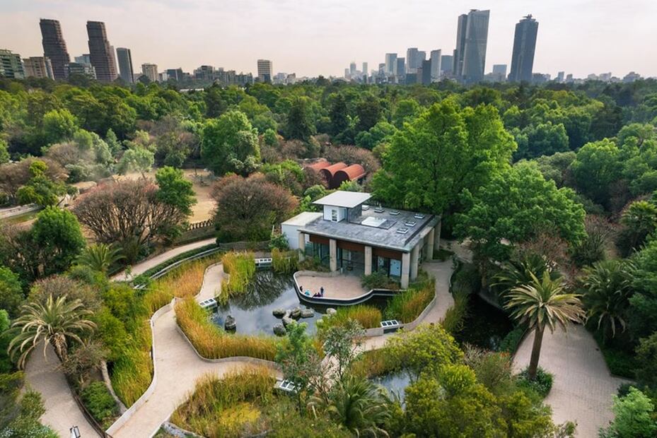 Foto: Bosque de Chapultepec